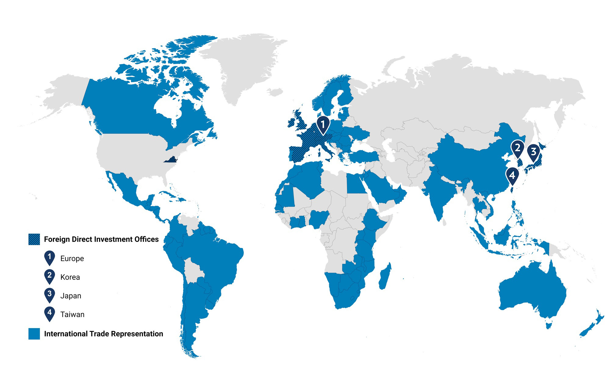 Global Network Map