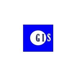 Global Insurance logo
